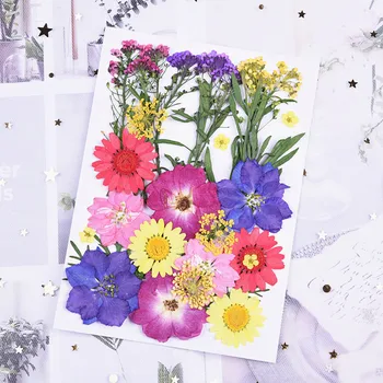 1Set Presat Flori Mici, Flori Uscate Scrapbooking Uscat DIY Conserve de Flori Decor Acasă Mini Flori Decor