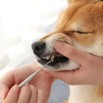 Câine De Companie Instrumente Pentru Curățarea Dinților De Tartru Remover Stick Perie Din Oțel Inoxidabil Racleta Cap Dublu De Ingrijire Orala Pentru Dinți De Câine Produs